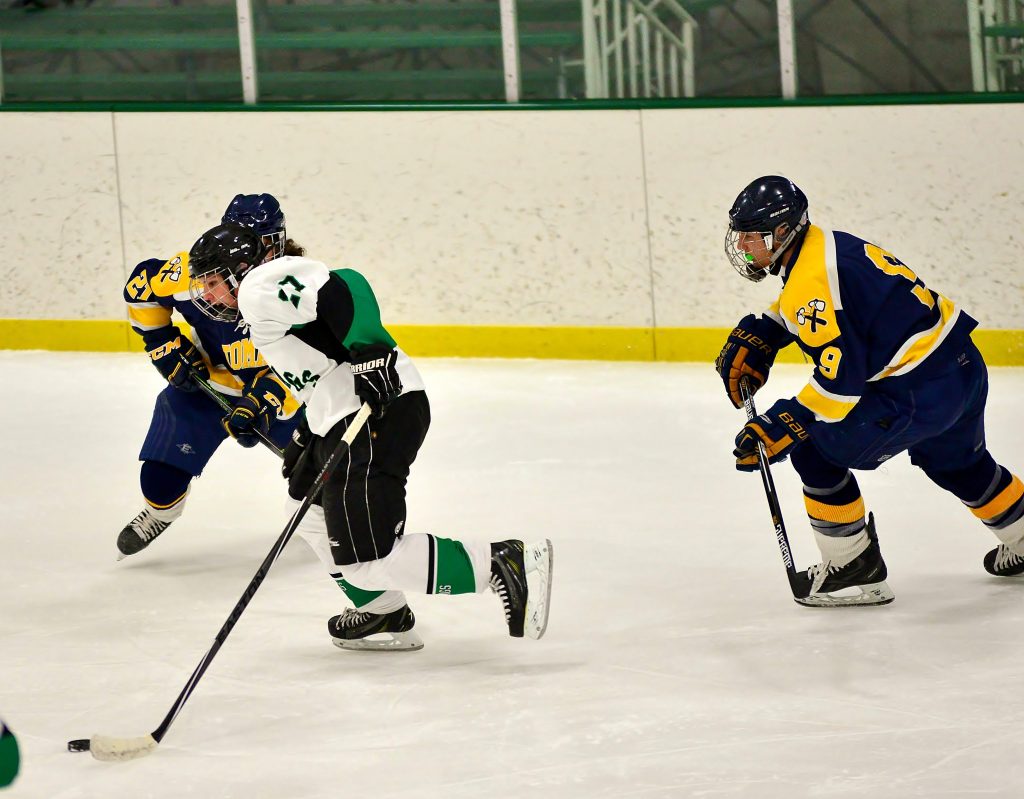 BOYS HOCKEY Hodags chop Tomahawk early in GNC win Star Journal