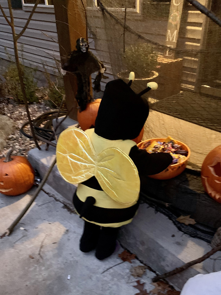 Little Bumble Bee helps herself to some candy.
