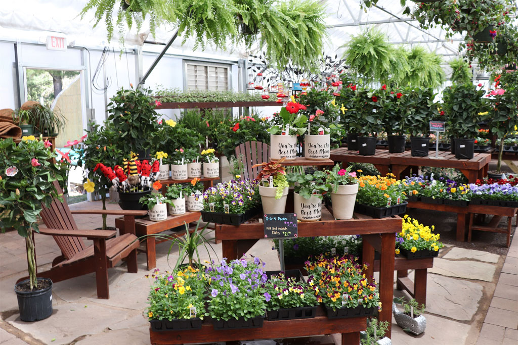 Beautiful plants and flowers are ready at JJ's Garden Center in Woodruff.