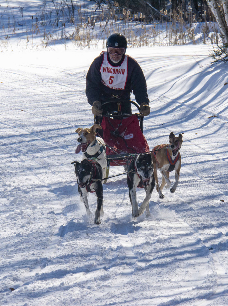 2022-02-26_Dog_sled_races-115W