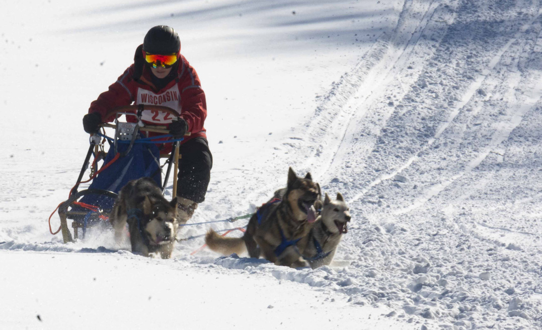 2022-02-26_Dog_sled_races-263W