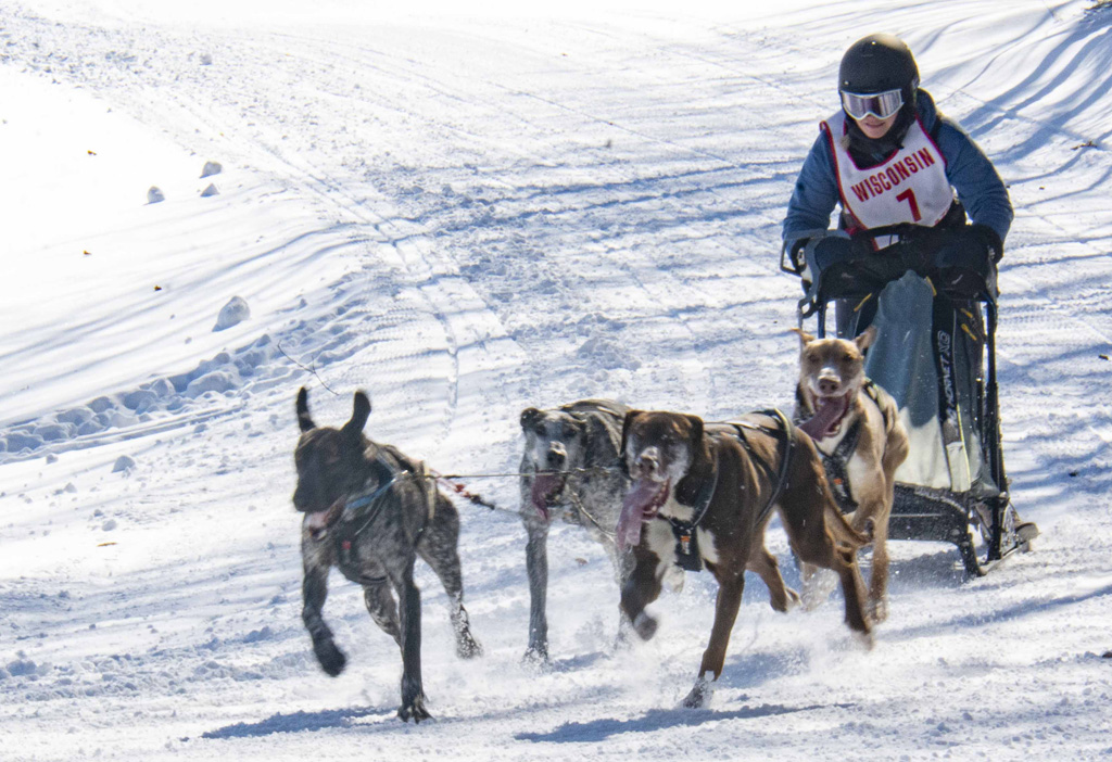 2022-02-26_Dog_sled_races-92W